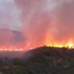 Požar u Mostaru: Vatrogasci neprestano na terenu