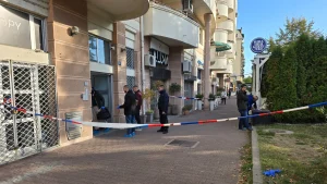 579k9kqTURBXy83OTEyYjQzNGYwOTg5YzRiZTRlZjVjM2E2YWRhMmI4Zi5qcGVnkZMFzQSwzQKj3gABoTAF