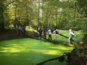 Foto-safari-cudesna-suma-Zutica-11