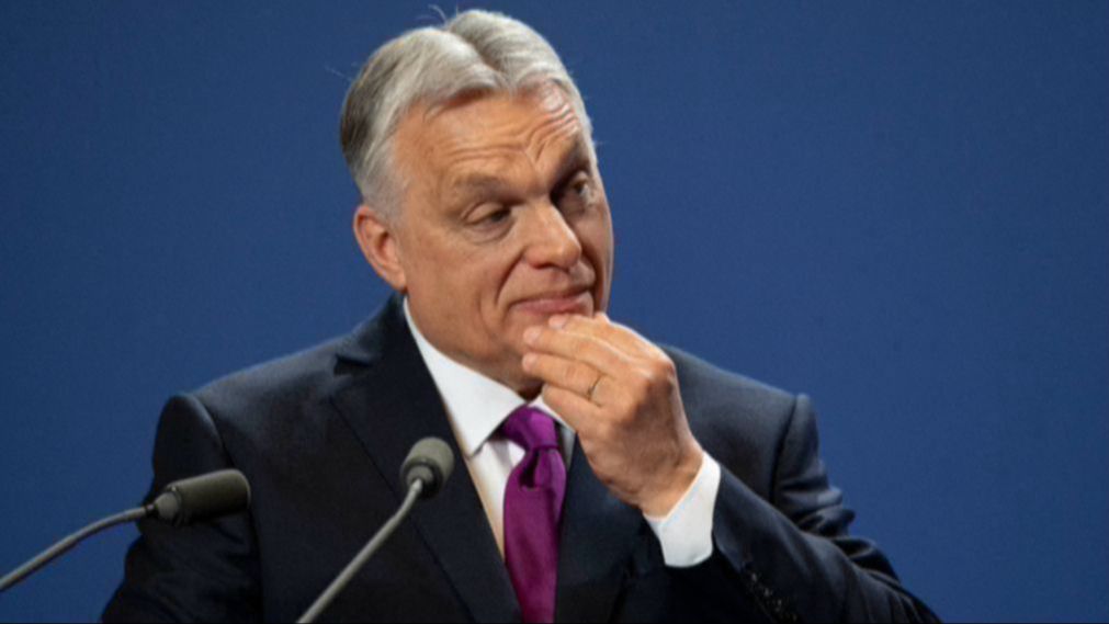 c0851a26-53e7-44f9-9850-b3ac0a4779d7