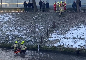 55868e31d8e503aa14a40d14630b37b2