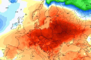 1772222384-c5e2a92b75f15f8c0b1a-690x480