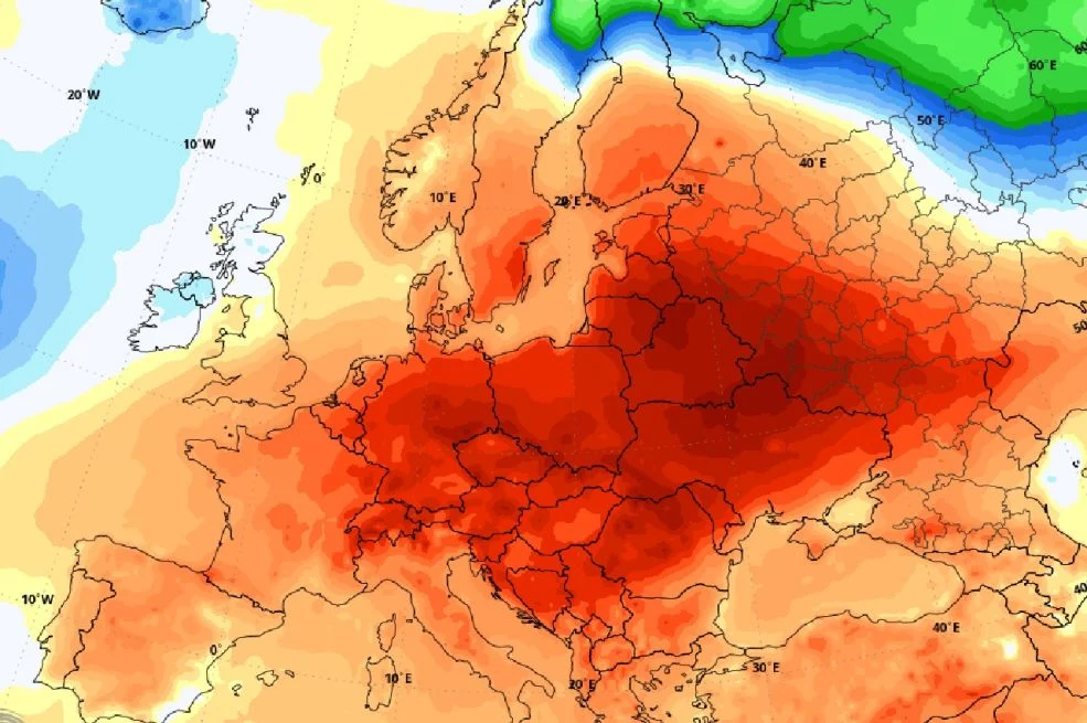 1772222384-c5e2a92b75f15f8c0b1a-690x480