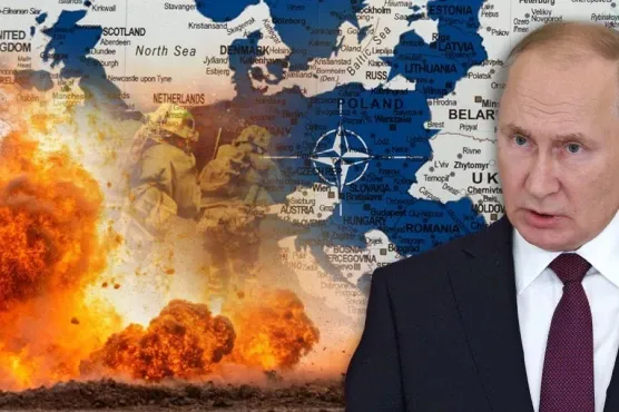 1774797188-1172992-putinato-m-690x480