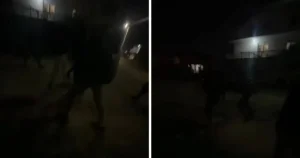 napad-djecak-mostar-1024x538