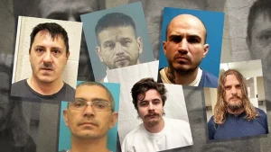 screenshot_20260305_222819png_1200