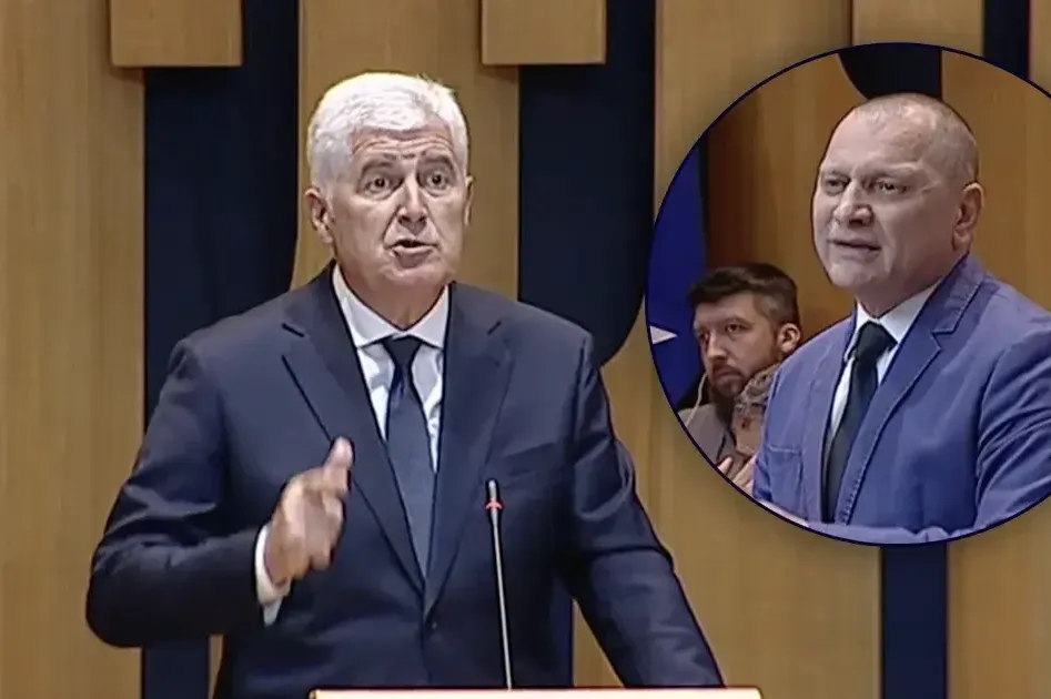 1780583124-miletic-covic-690x480