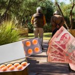 NIKO OVO NIJE OČEKIVAO: Država priprema veliko pojeftinjenje koje bi moglo da obraduje penzionere